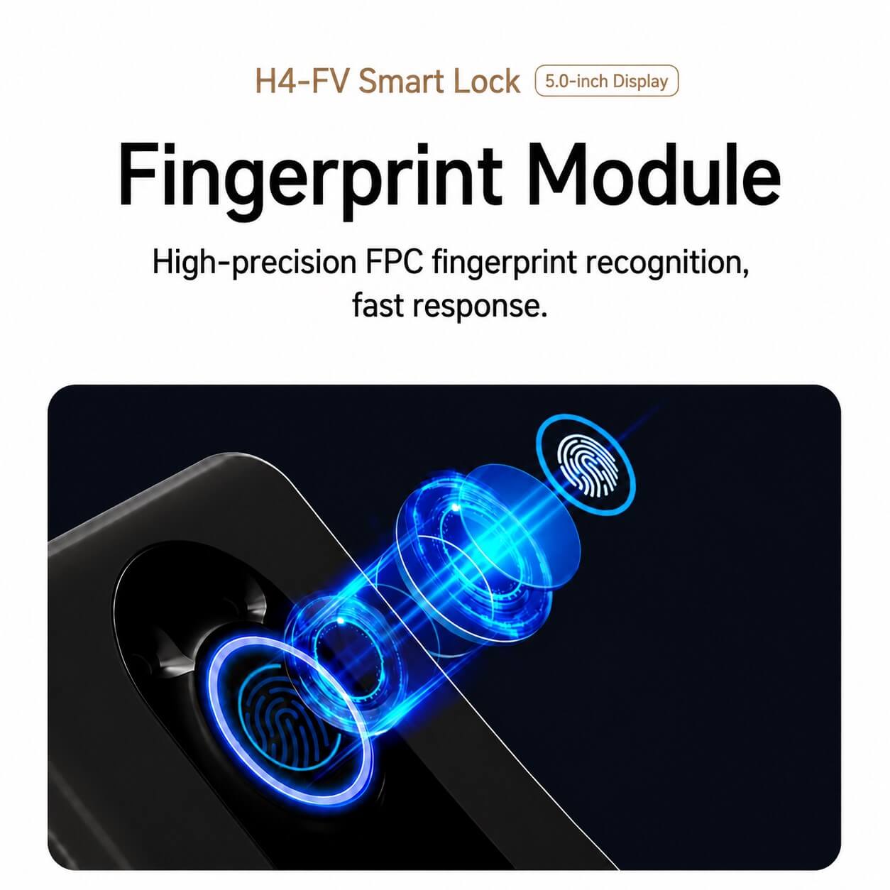 Sharp smart lock with fingerprint module